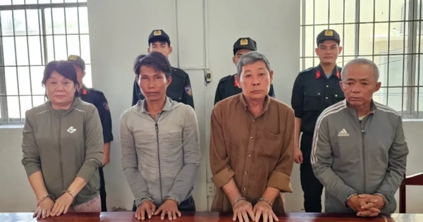 Bắt nhóm 'phù phép' đất rừng lừa đảo gần 20 tỷ đồng