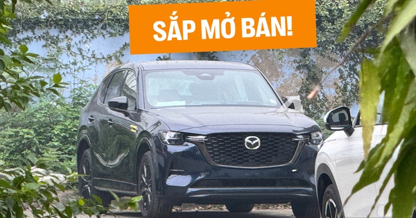 Mazda CX-60 xuất hiện tại Hà Nội: Thời gian mở bán sắp tới gần, dễ dùng động cơ mild-hybrid mạnh gần 300 mã lực