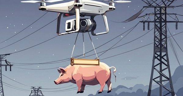 “Lợn bay” đâm vào đường điện cao thế, cả ngôi làng mất điện suốt 10 tiếng đồng hồ