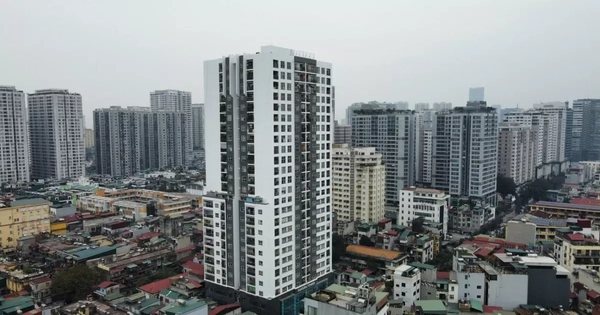 Doanh nghiệp BĐS nở rộ lập mới đầu năm, thị trường bước vào chu kỳ sàng lọc