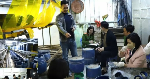 Bắt chủ cơ sở dùng ‘nước kẹo’ để sản xuất gần 2,8 tấn giá đỗ