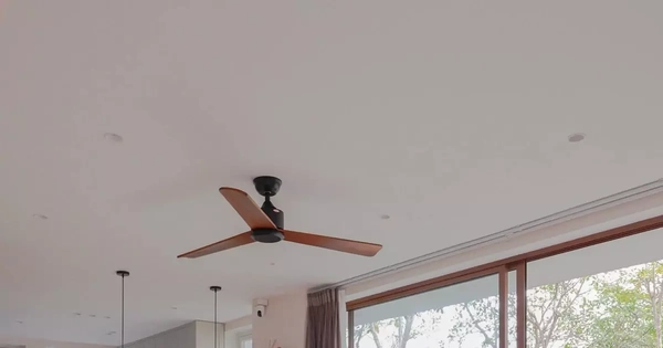 Không gian với góc nhà đầy hoa lá, tràn ngập ánh sáng