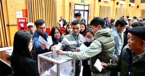 Giá đất Tây Phương đấu giá lên tới hơn 164 triệu đồng/m²