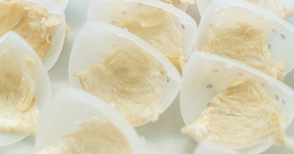 Lần đầu trong lịch sử, Campuchia chuẩn bị đưa một sản vật sang Trung Quốc