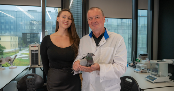 Chuyện thật như đùa: Nga thử nghiệm gắn chip điều khiển vào não chim bồ công để dùng làm công cụ giám sát