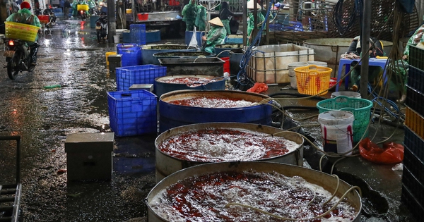 Giá cá chép tiễn ông Công ông Táo giảm, chợ lớn nhất Hà Nội vẫn vắng khách mua