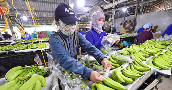 Tạm dừng Nghị định 46, doanh nghiệp vẫn chưa hết lo