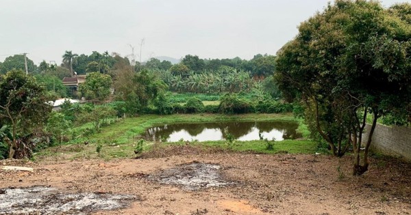 Bộ NN&MT phản hồi về việc xin “lên thổ cư” 500m2 đất vườn mua giấy tờ xã từ năm 1995