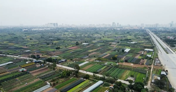 Dự án khu công nghệ cao sinh học hơn 1 tỷ đô được giao đất