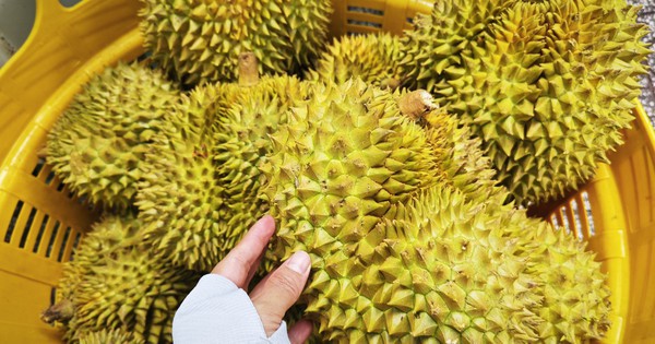 Quy định mới về xuất khẩu nông sản vào Trung Quốc - Ảnh 1