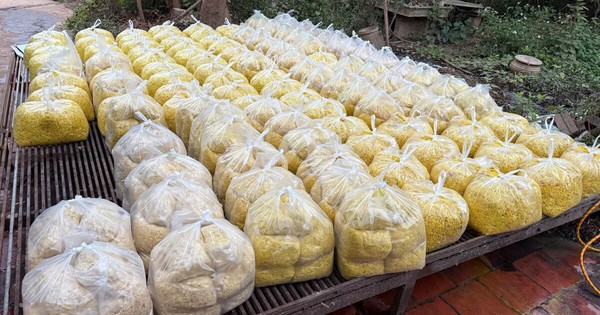 Trộn chất gây ung thư vào gần 2 tấn riềng xay bán ra chợ ở Bắc Ninh