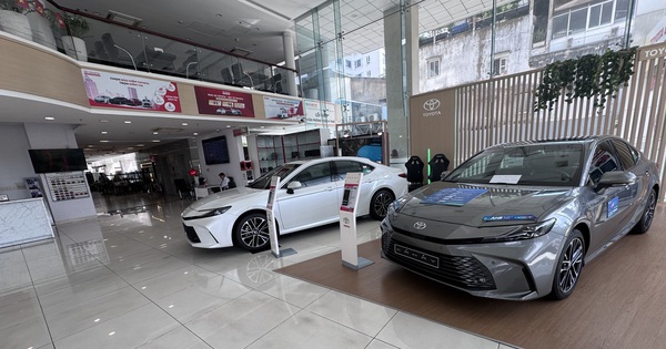 Hàng loạt mẫu xe không bán được chiếc nào trong tháng 1-2026