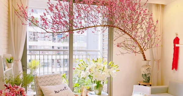 Nguyên tắc không nên bỏ qua khi trang trí Tết cho nhà nhỏ