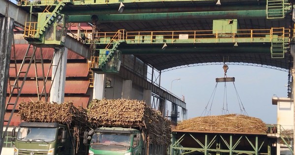 Hai doanh nghiệp bị UBCKNN xử phạt vì không công bố thông tin