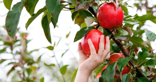 VDSC chỉ ra những 'món hàng' tốt dựa trên tín hiệu sớm từ huy động vốn của các ngành