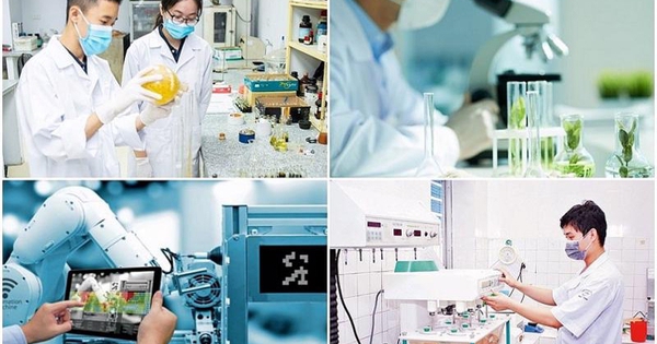 Miễn tiền thuê đất với dự án khoa học, công nghệ, đổi mới sáng tạo và chuyển đổi số