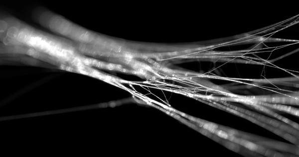 Vì sao tơ nhện chắc hơn thép?