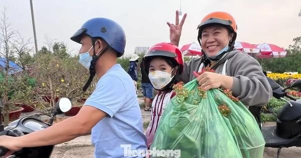 Giá rẻ khó tin: Hoa Tết chỉ 20.000 đồng/chậu ở TPHCM