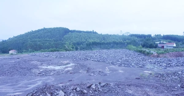 Khởi tố cựu cán bộ ‘ngó lơ’ vụ khai thác hơn 200.000m3 đất