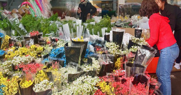 Cập nhật giá cả hoa ngày 28 Tết: Tuyết mai rẻ bất ngờ, cúc đẹp “đỉnh cao”, mộc lan trở thành hot trend