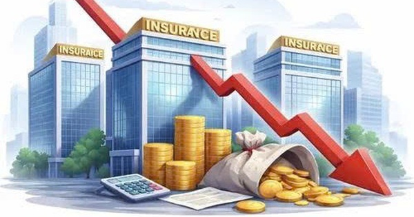 Bức tranh lợi nhuận của các doanh nghiệp ngành bảo hiểm trong năm 2025