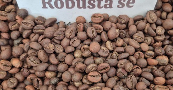 Giá cà phê hôm nay 16-2: Việt Nam là thị trường cung cấp thứ 3 cho Trung Quốc