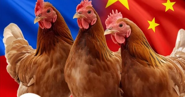 Chứng kiến hiện tượng chưa từng có với Trung Quốc, Nga đưa ra cảnh báo