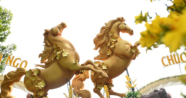 Cận cảnh đường hoa ven sông Đồng Nai "vạn người mê"