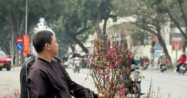 Bộ Tài chính thông tin về giá cả thị trường Tết