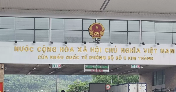 Lô sầu riêng 17 tấn xuất Trung Quốc ngày mùng 1 Tết