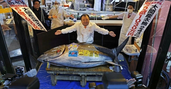 3 phiên đấu giá cao kỷ lục, gây 'bão' đầu năm 2026