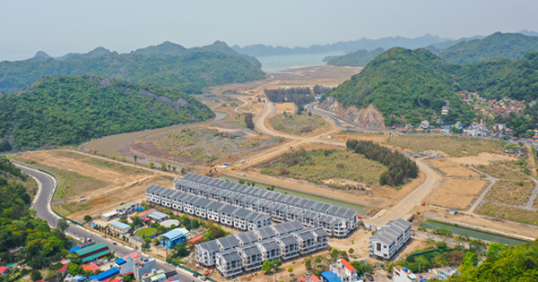 Doanh nghiệp bất động sản tất bật M&A trong năm 2025