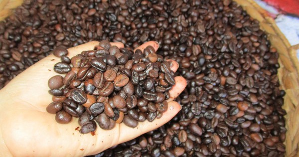 Giá cà phê hôm nay 18-2: "Đổ đèo" mạnh mùng 2 Tết