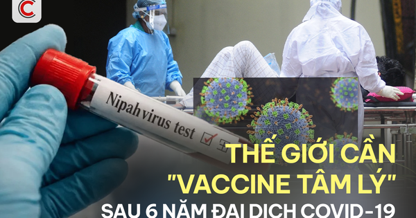 Nipah và câu hỏi chưa có lời đáp sau 6 năm đại dịch Covid-19: Nhân loại đã trưởng thành hơn sau đại dịch, hay chỉ cảnh giác hơn?