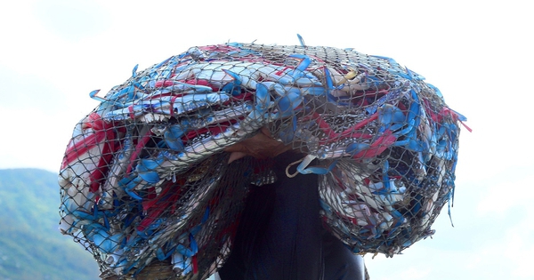 Sản vật biển của Việt Nam tạo "cơn sốt" tại Mỹ, đơn hàng áp đảo thị trường