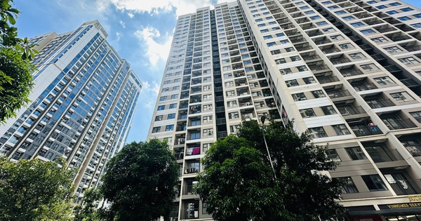 Quy định mới về quản lý vận hành nhà chung cư: Sửa đổi khung giá dịch vụ và trách nhiệm của UBND cấp xã