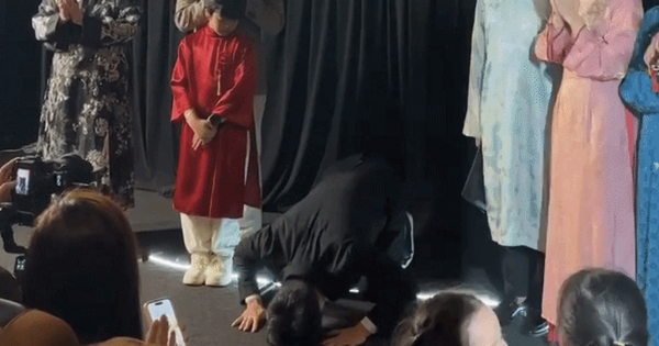 Tổng giám đốc Lotte Entertainment quỳ gối cầu xin khán giả Việt Nam cho Mùi Phở một cơ hội