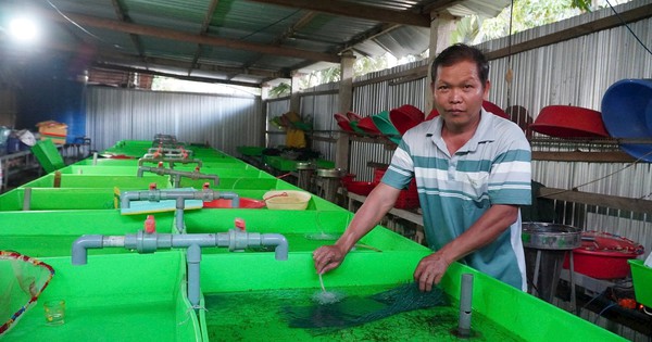 Thầy giáo dạy Sinh thu 2 tỷ đồng/năm từ bầy "quái vật" không vảy trong bóng tối