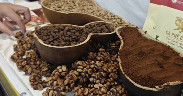 Giá cà phê hôm nay 21-2: Chốt tuần giảm, sắp chạm sàn
