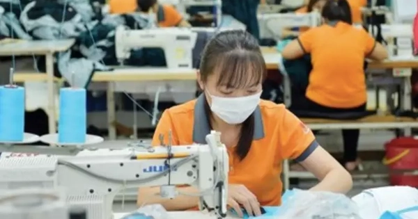 Lo vướng thủ tục kế toán cho doanh nghiệp siêu nhỏ