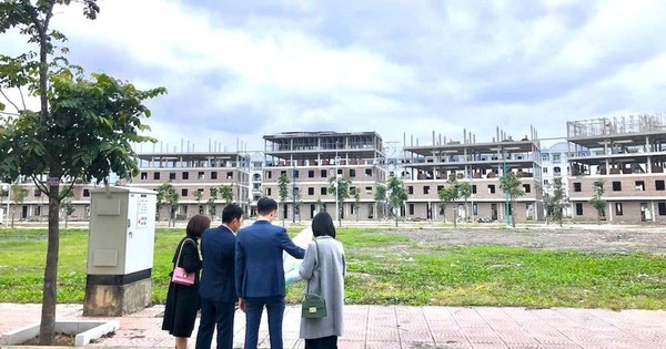 “Lá chắn vàng” của môi giới chuyên nghiệp trong năm mới Bính Ngọ