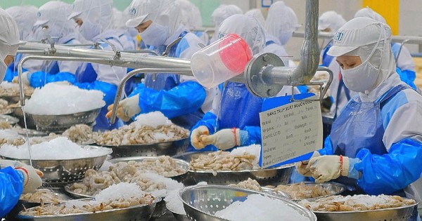 Nhận tin vui từ Mỹ, một cổ phiếu thủy sản "bung nóc": Có thể lãi gấp đôi chỉ sau một đêm?