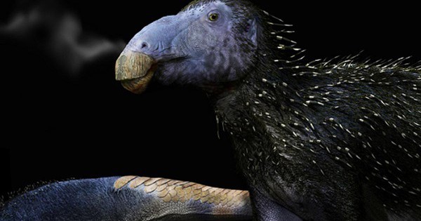 Trung Quốc phát hiện “rồng gai” chưa từng thấy trên thế giới