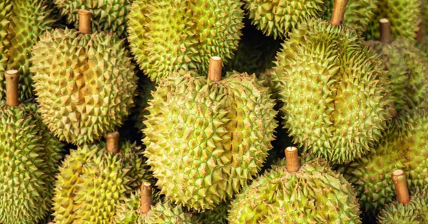 Giá sầu riêng Việt Nam lập đỉnh trong 3 năm, chuyện gì đang xảy ra?