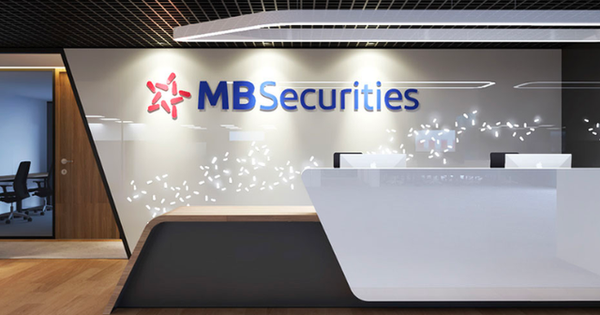 Công ty chứng khoán rục rịch chuẩn bị họp ĐHĐCĐ thường niên