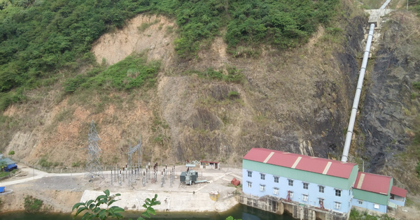 Doanh nghiệp của Chủ tịch Trương Đình Lam báo lãi ròng giảm sâu trong năm 2025