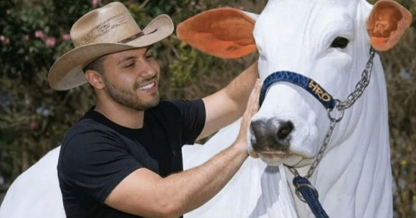 Đây là con bò đắt nhất thế giới với trọng lượng hơn 1 tấn và có giá hơn 4 triệu USD