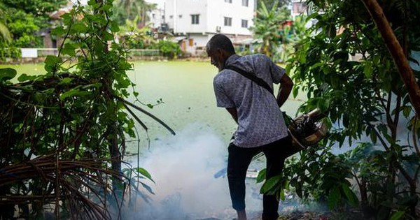 Loài động vật nguy hiểm nhất thế giới giết chết hơn 1.000.000 người mỗi năm: Không phải con vật bạn đang nghĩ