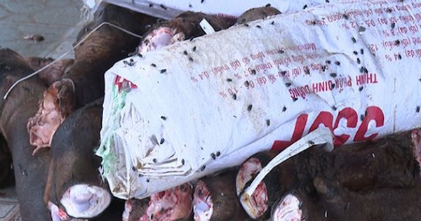 Phát hiện 2 kho lạnh chứa gần 6 tấn đuôi, chân trâu bò bốc mùi thối ở Thanh Hoá