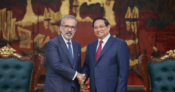 Doanh nghiệp Bồ Đào Nha muốn tham gia các dự án năng lượng tái tạo ở Việt Nam